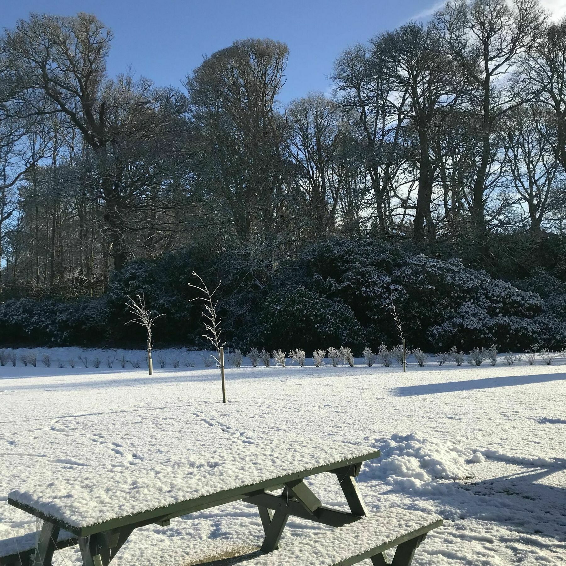 The Lodge At Perth Racecourse Luaran gambar